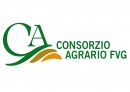 Consorzio FVG